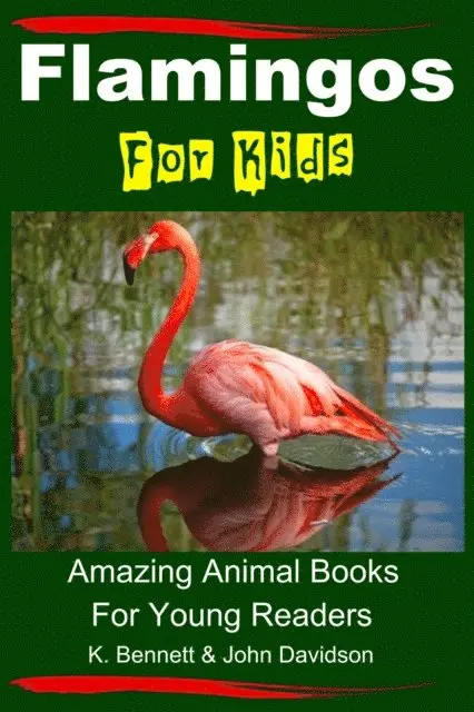 John Davidson, K. Bennett - Flamingos For Kids - Amazing Animal Books For Young Readers, E-bok. Tillgänglighet: Lägg i varukorg