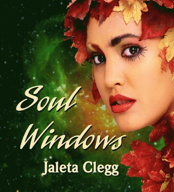Jaleta Clegg - Soul Windows, E-bok