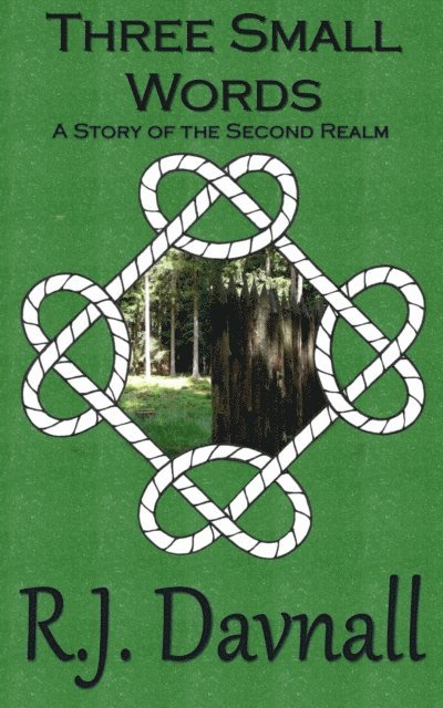 R. J. Davnall - Three Small Words, E-bok