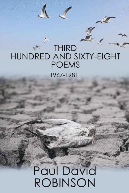 Paul David Robinson - Third Hundred and Sixty-eight Poems, E-bok
