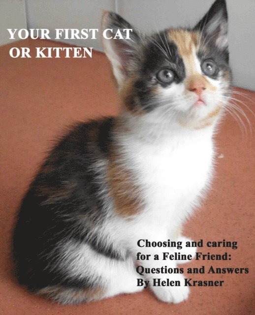 Your First Cat or Kitten