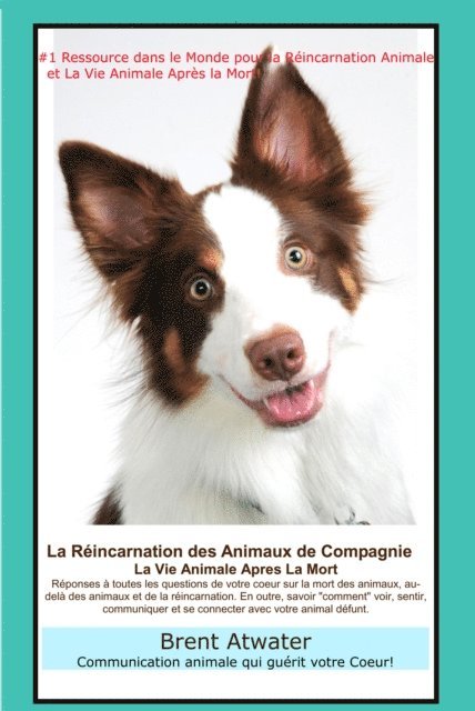 Brent Atwater - La Reincarnation Animale et La Vie Animale Apres La Mort: Reponses a toutes les questions de votre Coeur !, E-bok. Tillgänglighet: Lägg i varukorg
