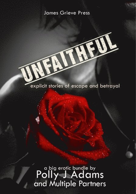 Polly J Adams - Unfaithful: Explicit Stories of Escape and Betrayal, E-bok