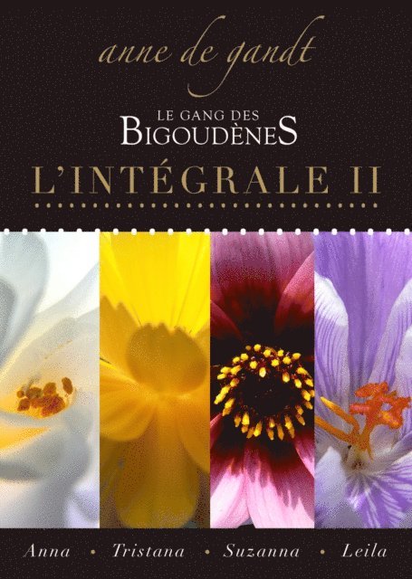 Anne de Gandt - Le Gang des bigoudenes: L'Integrale II, E-bok