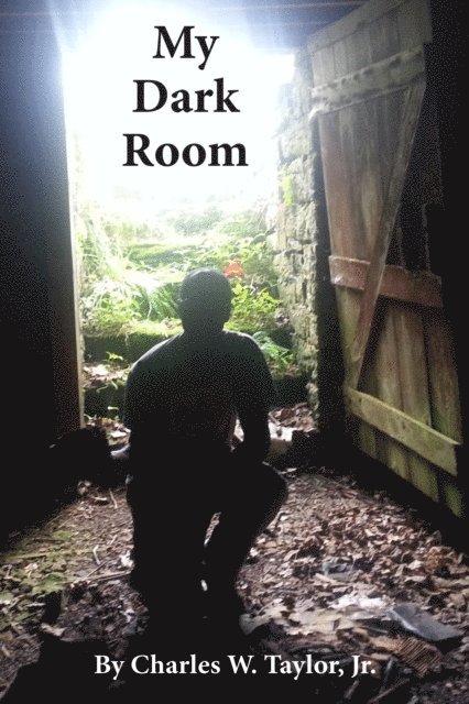 Charles W. Taylor - My Dark Room, E-bok. Tillgänglighet: Lägg i varukorg