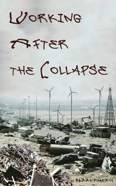 Barry Pomeroy - Working After the Collapse, E-bok. Tillgänglighet: Lägg i varukorg