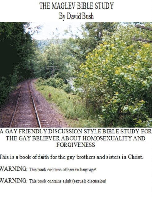David Bush - Maglev Bible Study, E-bok