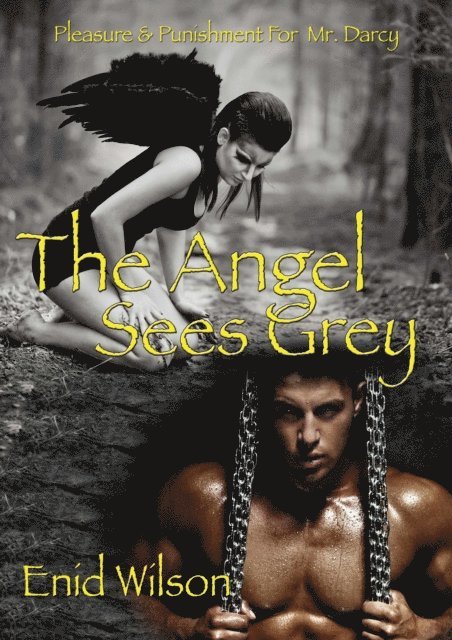 Enid Wilson - Angel Sees Grey: Pleasure and Punishment for Mr. Darcy, E-bok. Tillgänglighet: Lägg i varukorg