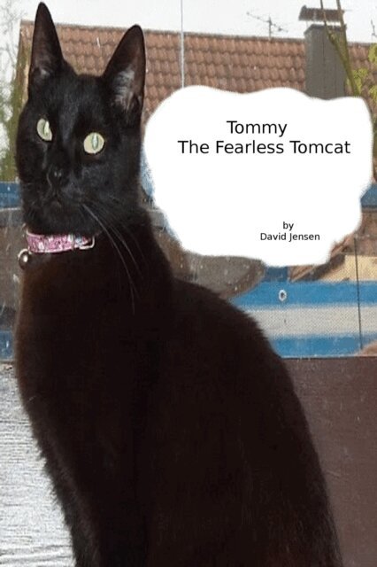 David Jensen - Tommy the Fearless Tomcat, E-bok