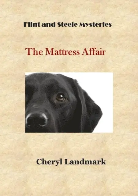 Mattress Affair (Flint and Steele Mysteries, #1)