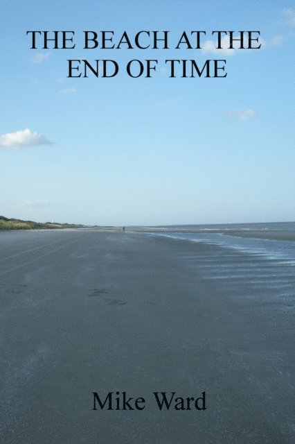 Mike Ward - Beach at the End of Time, E-bok. Tillgänglighet: Lägg i varukorg