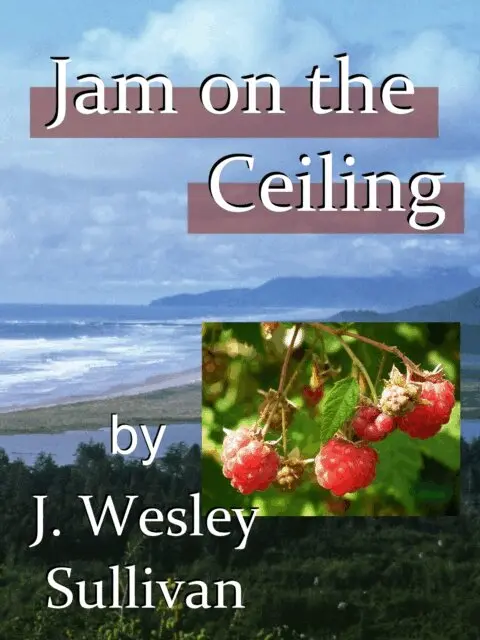 J. Wesley Sullivan - Jam on the Ceiling, E-bok. Tillgänglighet: Lägg i varukorg