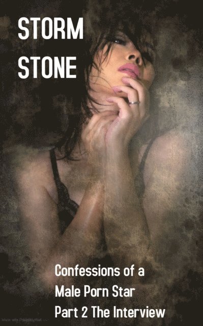 Storm Stone - Confessions of a Male Porn Star Part 2 The Interview, E-bok