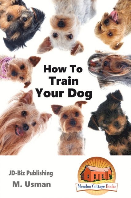How To Train Your Dog