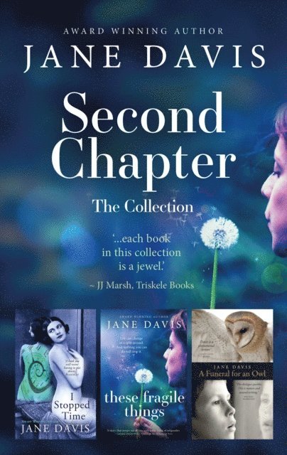 Jane Davis - Second Chapter: The Box Set, E-bok
