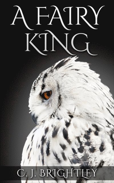 C. J. Brightley - Fairy King, E-bok