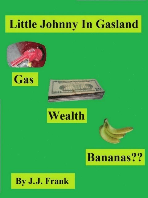 John Frank - Little Johnny In Gasland, E-bok
