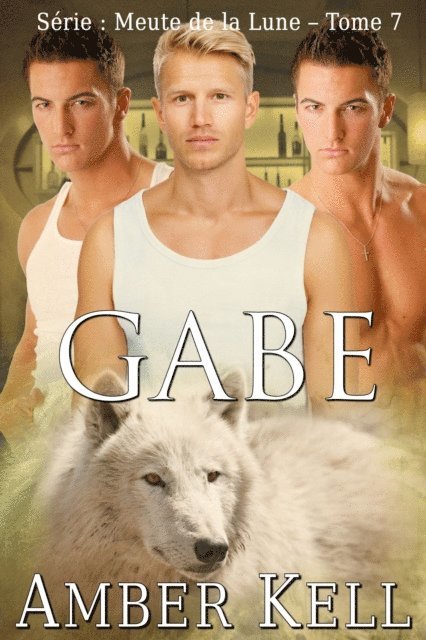 Amber Kell - Gabe, E-bok