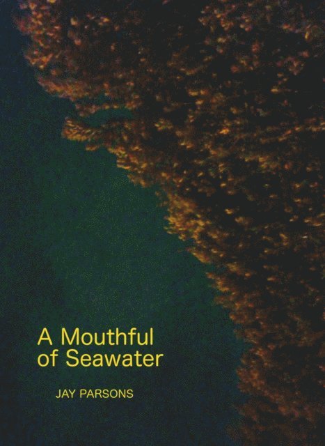 Jay Parsons - Mouthful of Seawater, E-bok