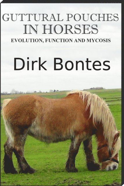 Dirk Bontes - Guttural Pouches In Horses: Evolution, Function And Mycosis, E-bok. Tillgänglighet: Lägg i varukorg