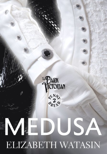 Elizabeth Watasin - Medusa: A Dark Victorian Penny Dread Vol 2, E-bok