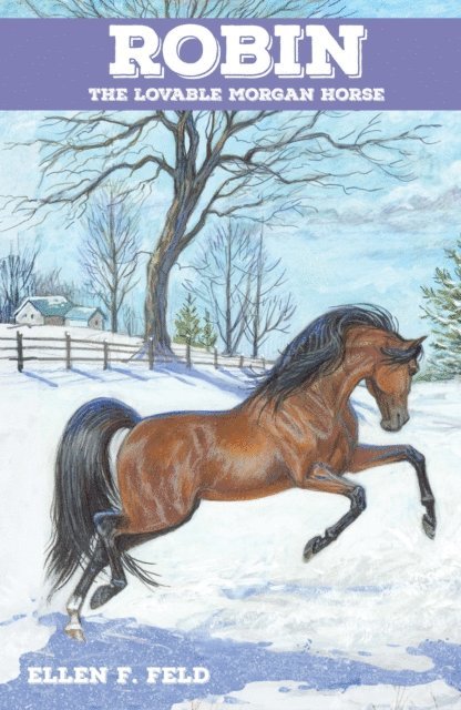 Ellen F. Feld - Robin: The Lovable Morgan Horse, E-bok