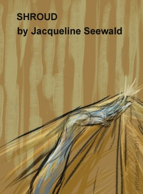 Jacqueline Seewald - Shroud, E-bok