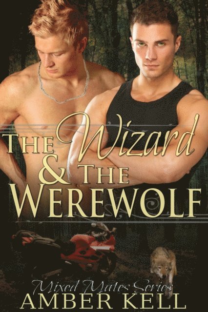 Amber Kell - Wizard and The Werewolf, E-bok