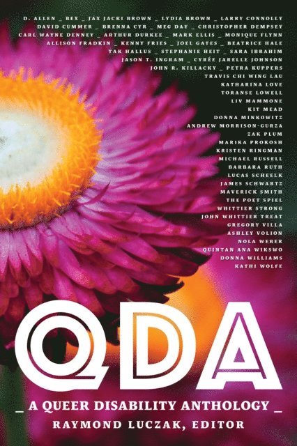 Raymond Luczak - QDA: A Queer Disability Anthology, E-bok