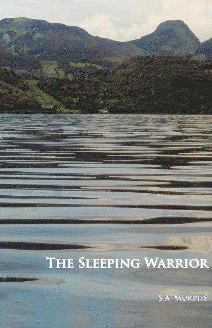 Stephen Murphy - Sleeping Warrior, E-bok