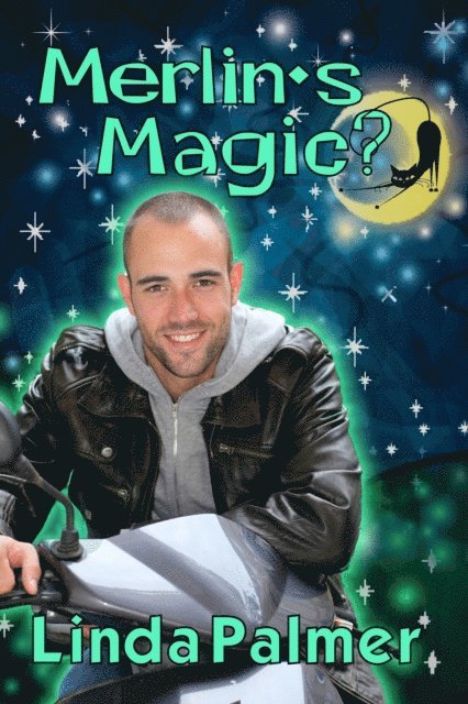 Linda Palmer - Merlin's Magic?, E-bok