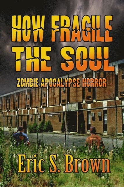 Eric S. Brown - How Fragile The Soul, E-bok