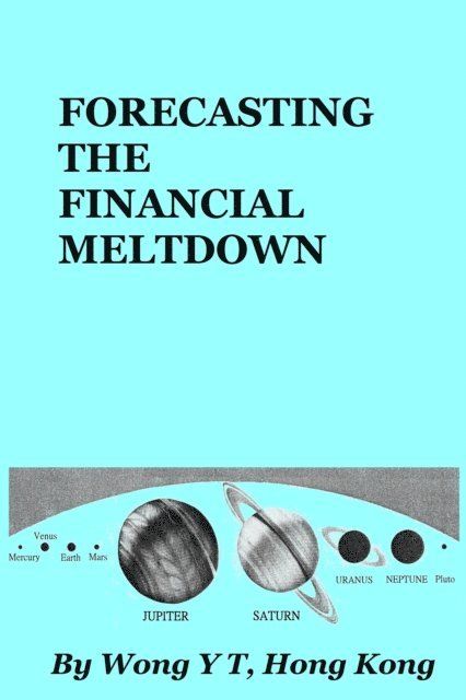 Wong Y T - Forecasting the Financial Meltdown, E-bok