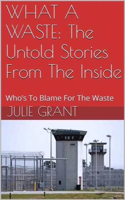 Julie Grant - WHAT A WASTE: The Untold Stories From The Inside, E-bok