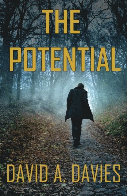 David A. Davies - Potential, E-bok