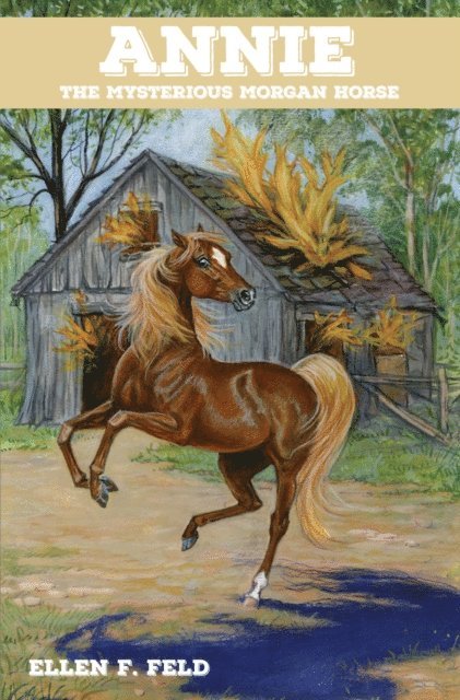 Ellen F. Feld - Annie: The Mysterious Morgan Horse, E-bok
