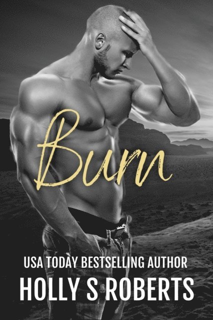 Holly S. Roberts - Burn, E-bok