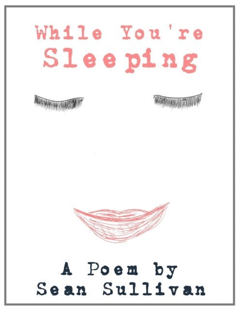 Sean Sullivan - While You're Sleeping, E-bok