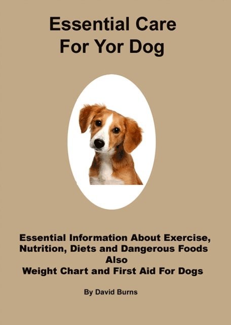 David Burns - Essential Care For Your Dog, E-bok