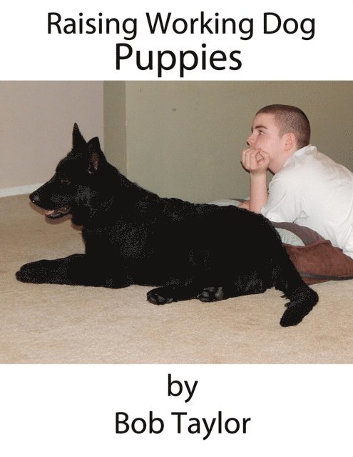 Bob Taylor - Raising Working Dog Puppies, E-bok