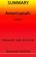Americanah ; Summary