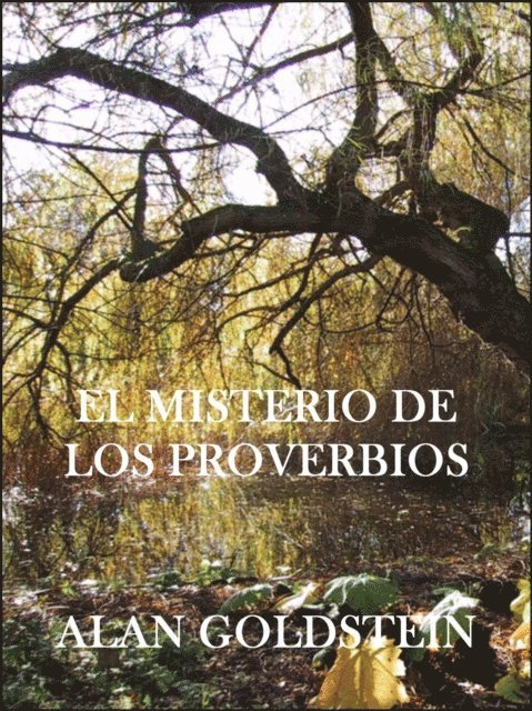 Alan Goldstein - El Misterio de los Proverbios, E-bok
