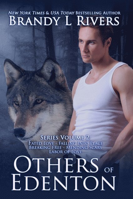 Brandy L Rivers - Others of Edenton: Series Volume 2, E-bok. Tillgänglighet: Lägg i varukorg