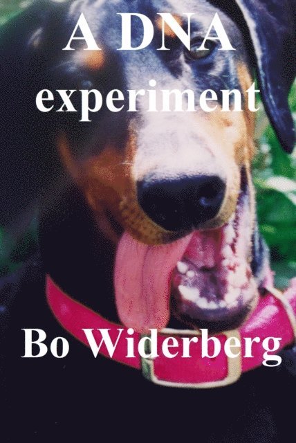 Bo Widerberg - DNA Experiment, E-bok