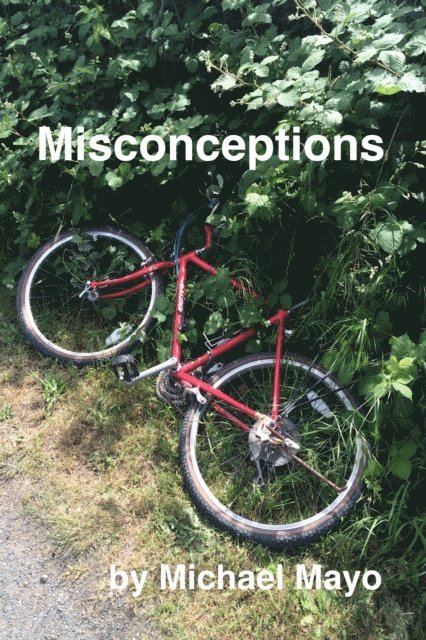 Michael Mayo - Misconceptions, E-bok
