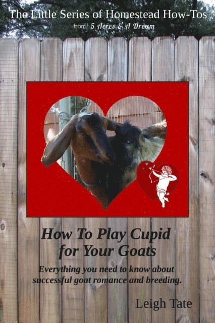 Leigh Tate - How To Play Cupid for Your Goats: Everything you need to know about successful goat romance and breeding, E-bok. Tillgänglighet: Lägg i varukorg
