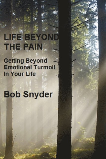 Bob Snyder - Life Beyond the Pain: Getting Beyond Emotional Turmoil In Your Life, E-bok