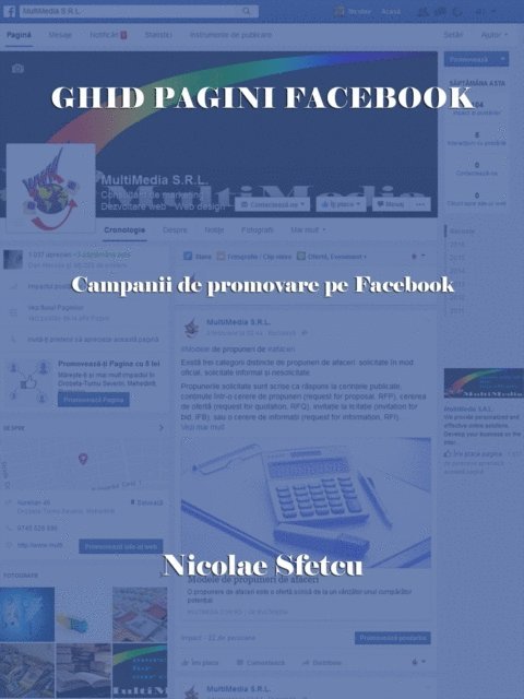 Nicolae Sfetcu - Ghid pagini Facebook: Campanii de promovare pe Facebook, E-bok