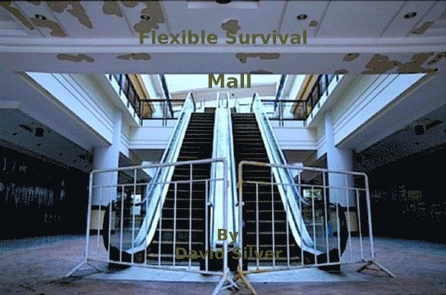 David Silver - Flexible Survival - Mall, E-bok