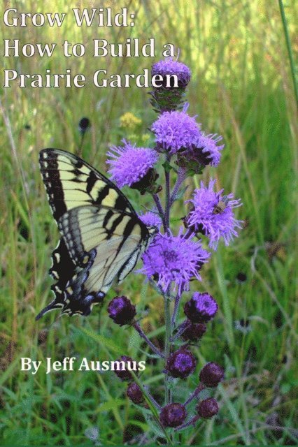 Grow Wild: How to Build a Prairie Garden